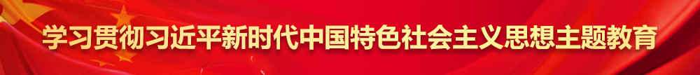 学习贯彻习近平新时代中国特色社会主义思想主题教育