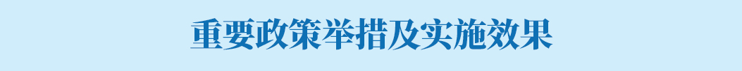 重要政策措施及实施效果